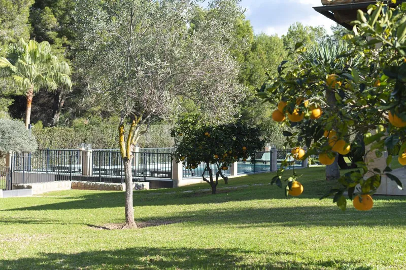 Prime Luxury Villa for Sale in Santa Ponsa next to the Golf Course — photo 4