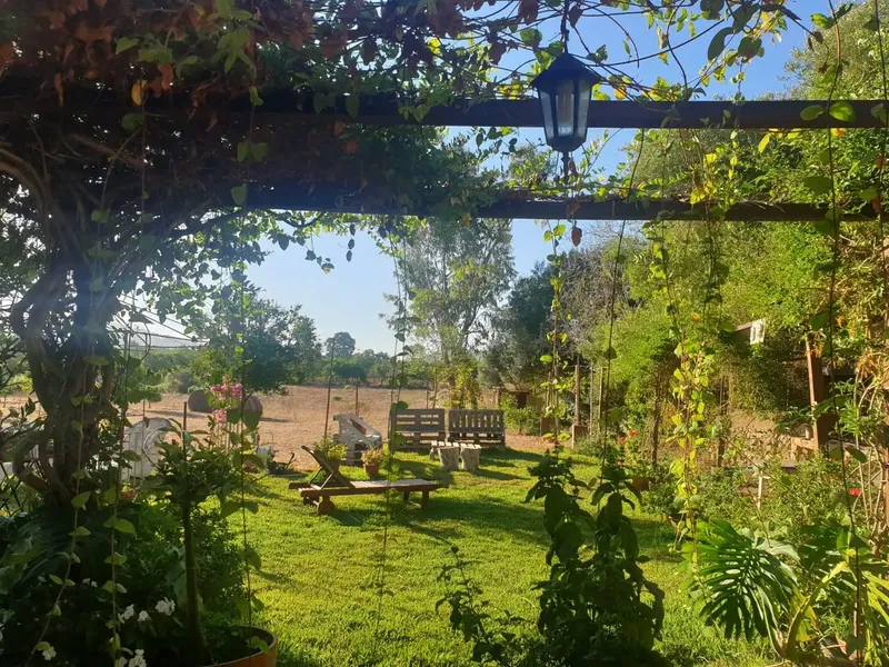 Country house with solar energy and cistern water. Ideal for nature and ecology lovers. Large plot of land for garden — photo 6