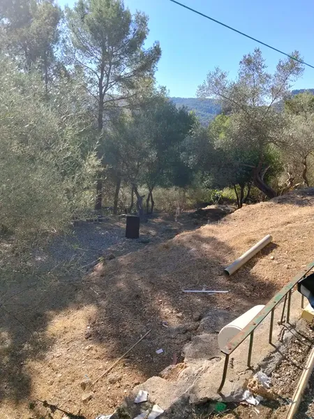 Se vende finca rústica en Son Net, a 2 km del pueblo, zona arbolada, tranquila y naturaleza al máximo. Carretera asfaltada hasta finca. Disp — photo 6