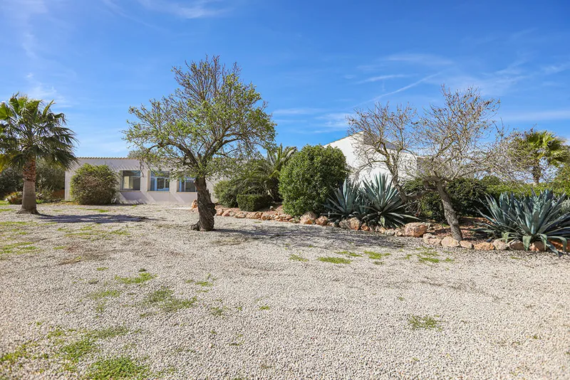 Modern finca with swimming pool and beautiful garden in Llucmajor — photo 11