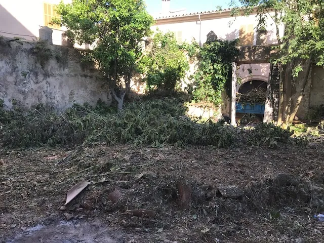 Historic building in the center of Sineu — photo 9