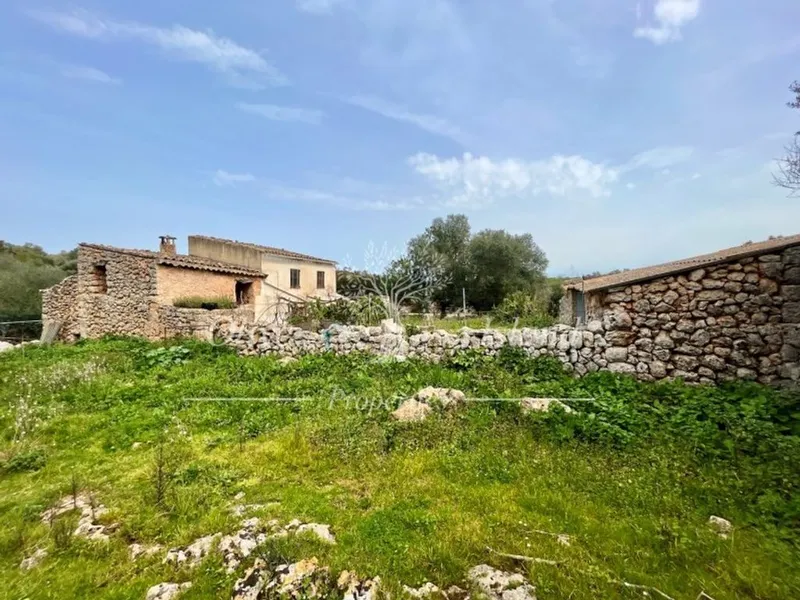 Land in Algaida, Province of Balearic Islands — photo 2