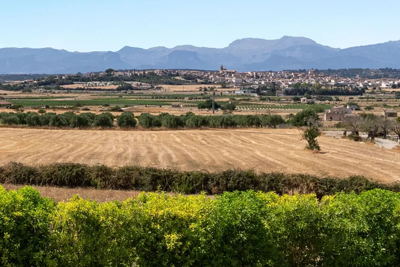 Serenity and boundless views: Three buildings on a hilltop near Montuïri — photo 1