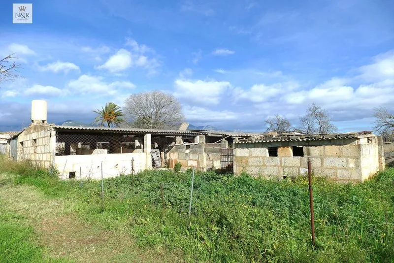 Luxury home in Binissalem, Province of Balearic Islands — photo 2