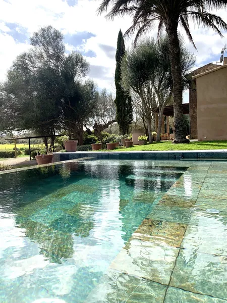Exquisite renovated finca with pool and guest house — photo 1