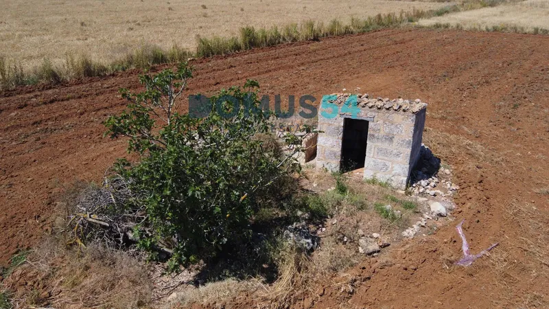 plot in Muro — photo 4