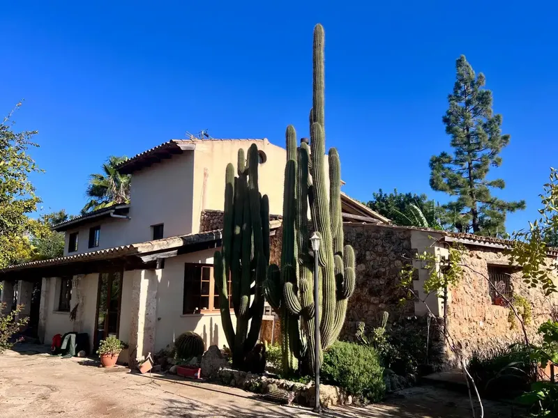 Discover this charming rustic house located in a quiet area of the old road of Muro, where tranquility and nature come together — photo 5