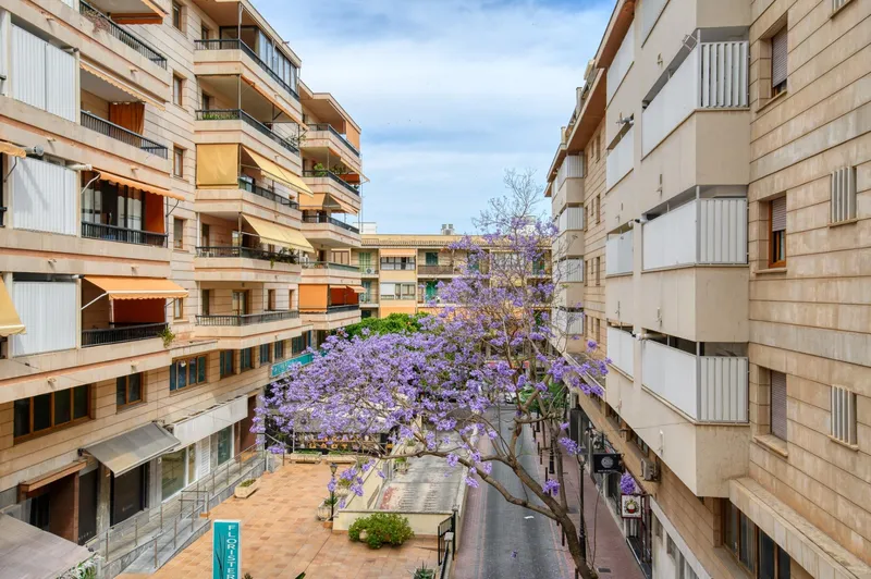 Flat - Palma de Mallorca (Sant Jaume) — photo 5