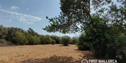 Real estate picture 0 Ref. No. 84289 — photo 7