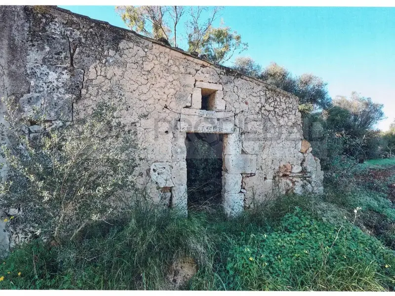 Rustic estate of 217,089 m² of own land, located between Felanitx and Porreres. It has a project for a rural hotel or agrotourism that — photo 7
