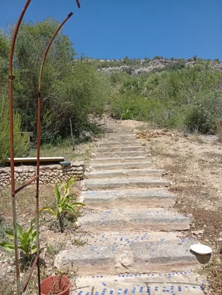 Top Small Finca with Fantastic Views and Tranquillity — photo 4