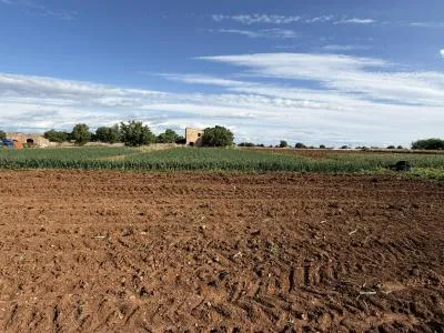 Rustic property - Manacor (outskirts), built surface 85 m², plot surface 28,442 m², 1 room, 1 bathroom — photo 3