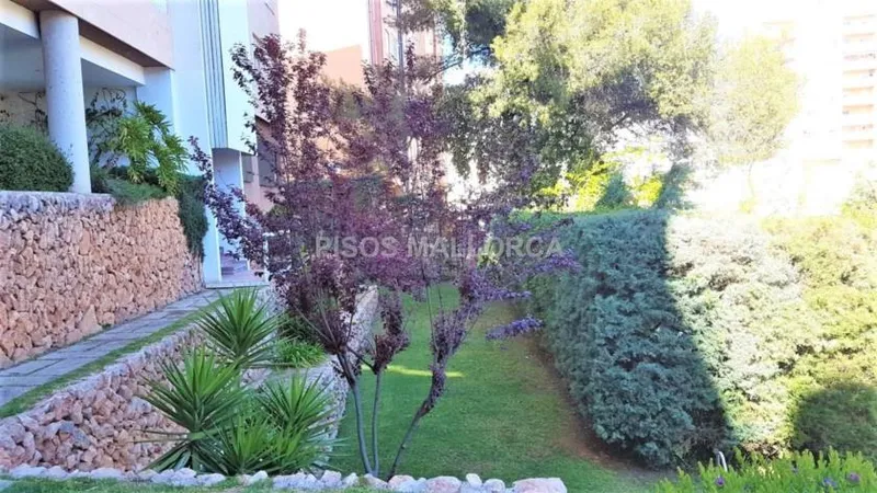Apartment in Palma de Mallorca, Colegios Area — photo 6