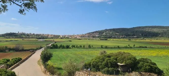 Urban plot of land - Santa Eugènia (Ses Alqueries), plot surface 2241m² — photo 2
