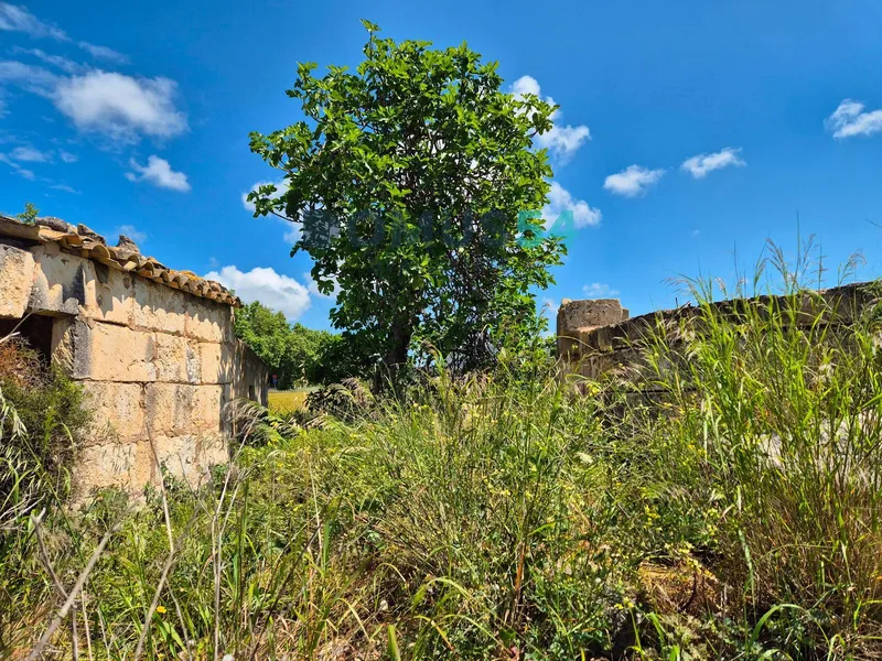plot in Sa Pobla — photo 6