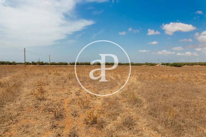 Land in Campos, Province of Balearic Islands — photo 7