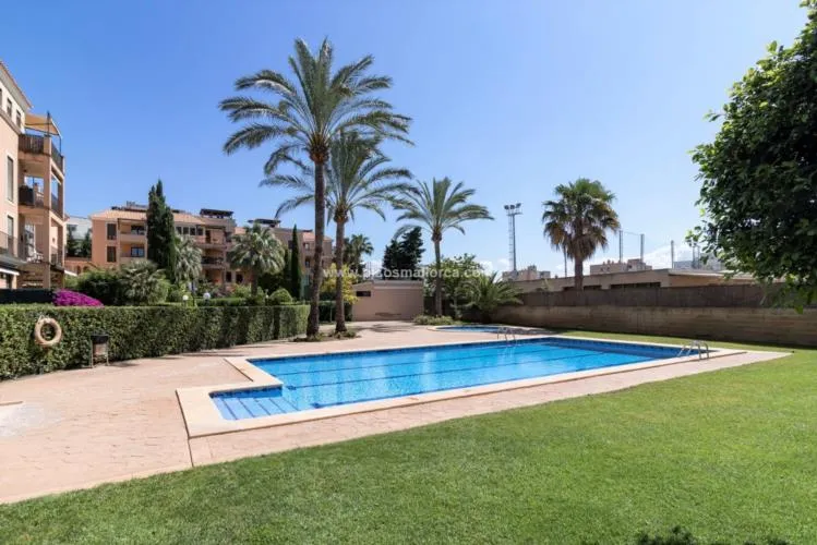 Apartment in Palma de Mallorca — photo 4