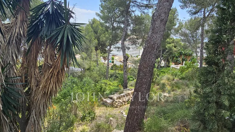 Plot for sale in Peguera — photo 3