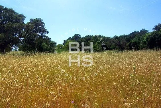 Country plot for sale in Inca — photo 2