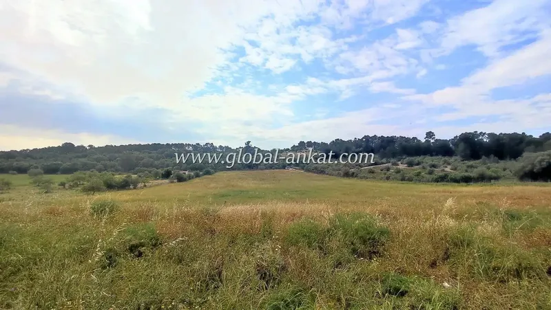 Developable plot in the village of Sant Joan about 20 kilometers from Manacor — photo 9