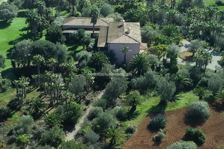 Luxury Finca for Sale in Santa Margalida - Mallorca — photo 3