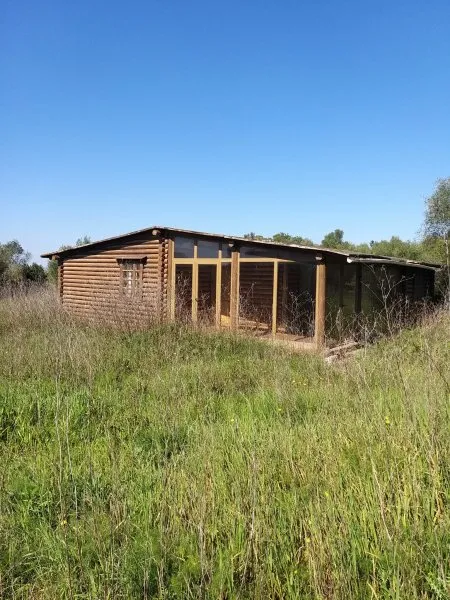 Wooden Finca Manacor Felanitx for Sale — photo 7