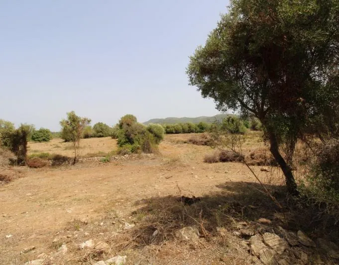 Beautiful rustic finca near the village of Arta — photo 10