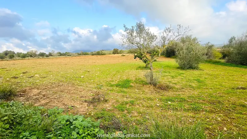 Immerse yourself in the authenticity of Mallorca in this charming estate, located in the picturesque village of Cas Concos. With an area of 16.9 — photo 12
