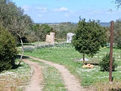 Country House - Manacor (Manacor Centro) — photo 6