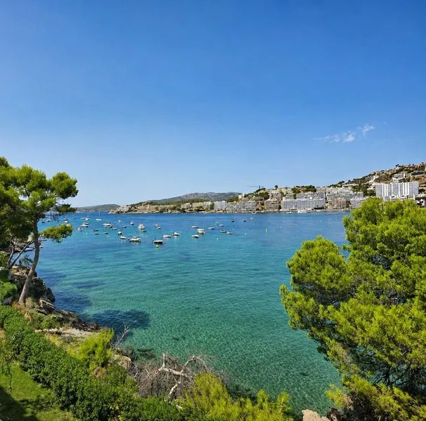 Apartment in Calvià, Province of Balearic Islands — photo 3