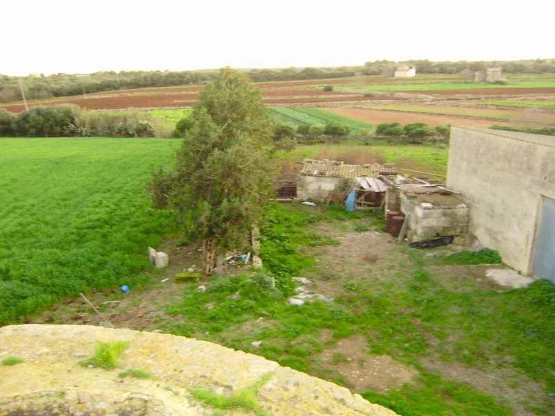 Rural or Farmhouse in Muro, Province of Balearic Islands — photo 3
