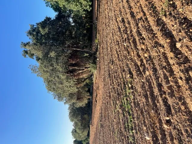 Plot with basic project to build a house — photo 4