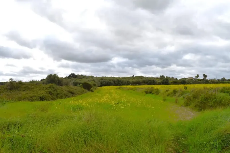 Set of 3 plots totaling 15,988 m2, perfect for building your dream home in Muro. — photo 2