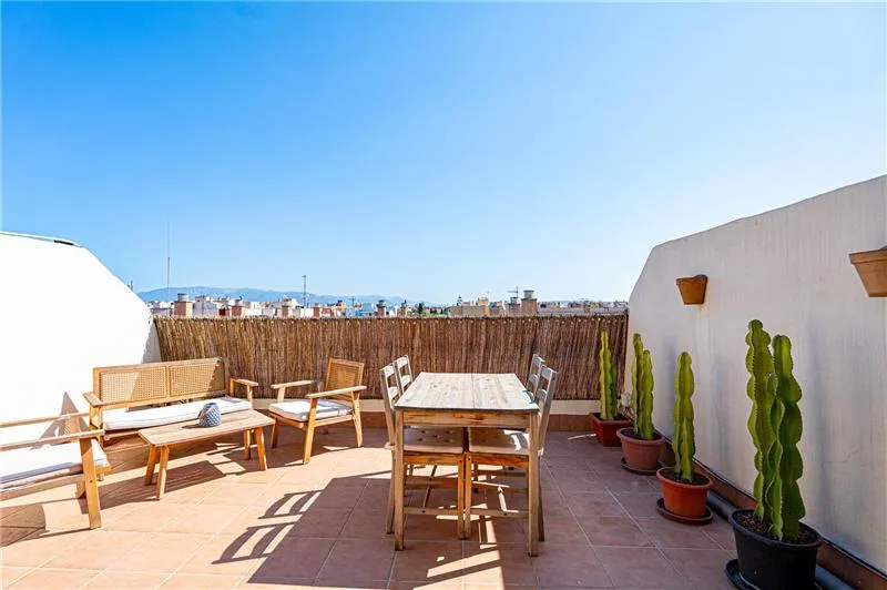 Penthouse with a terrace in the El Vivero neighborhood — photo 1