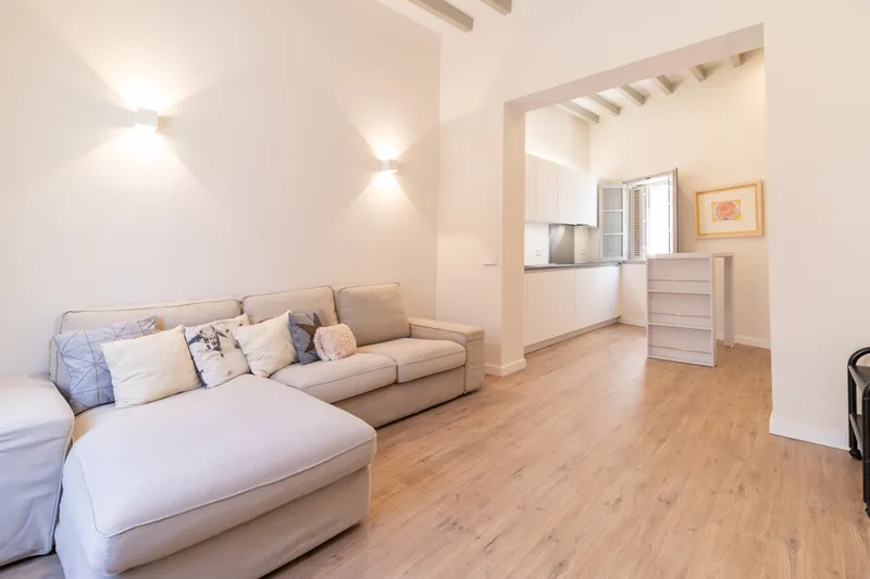 Bright and Modern One-Bedroom Apartment in Santa Catalina - Available from the 8th of August — photo 1