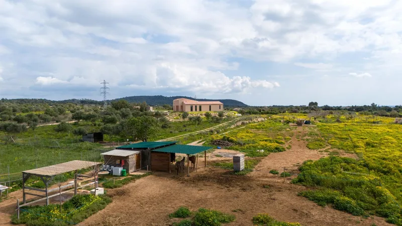 Finca new construction in Llucmajor — photo 9