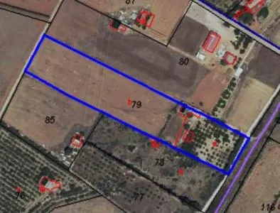 Rustic property - Muro, Built Surface 202m², Plot Surface 14186m² — photo 4