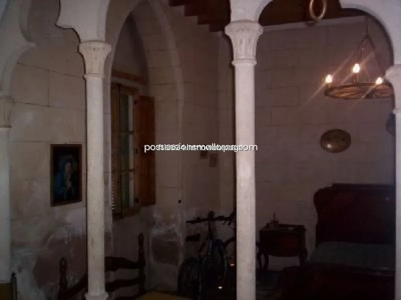 Land in Algaida, Province of Balearic Islands — photo 7