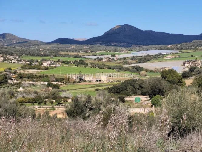Building Plot for Sale in Manacor, Mallorca — photo 7