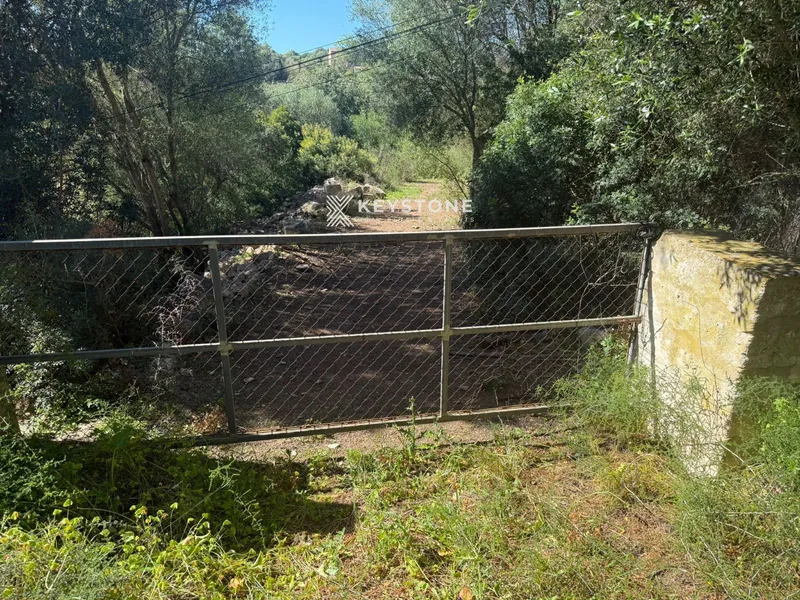 Plot — photo 1