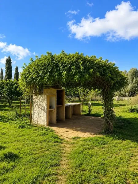 Magnificent rustic finca in Consell with legalized dwelling and ample outdoor spaces — photo 10