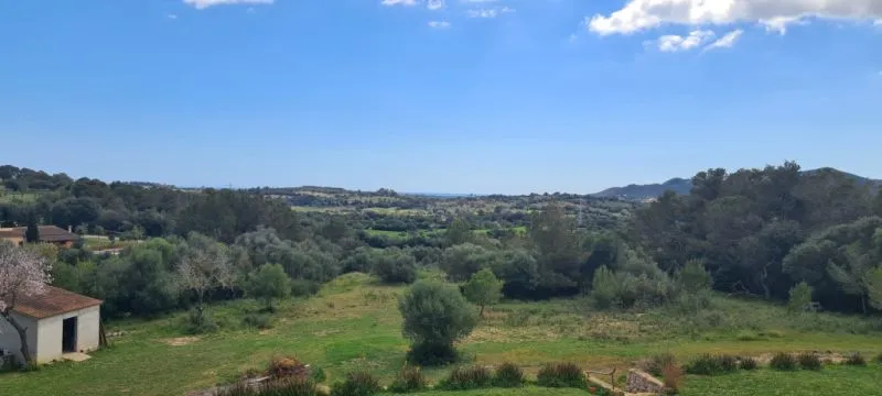 Finca for sale 3 km from Manacor — photo 2