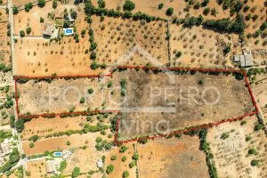 Ref. PRO230 – Spacious plot with project for a modern finca with various building volumes, floor-to-ceiling windows, garage, patio and pool in an idyllic neighborhood with excellent connectivity between Es Carritxo and Felanitx — photo 6