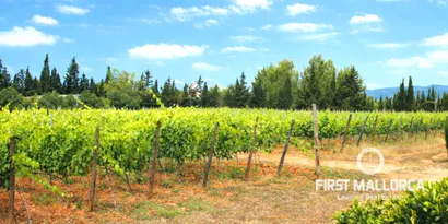 Real estate picture 0 Ref. No. 83185 — photo 4