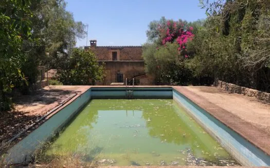 Rustic Finca in Campos — photo 12