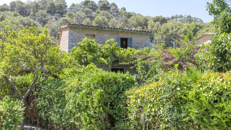 Investment! Finca in Soller on a large plot with fruit trees and lots of potential — photo 10