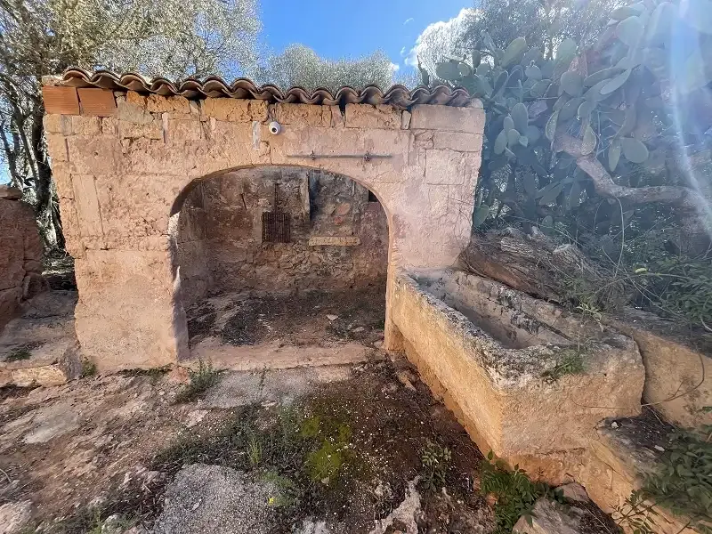 Old finca from 1870 for complete renovation — photo 10