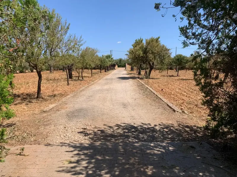 Impressive finca for sale with views of the Sierra de Tramuntana, built in 2003 with top quality materials. — photo 2