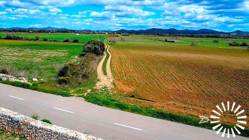 Country Estate for sale in Felanitx of 15713 m2 — photo 6