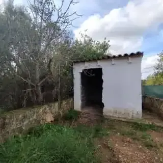 Independent chalet in Son Fullana, in the municipality of Llucmajor, Balearic Islands — photo 7